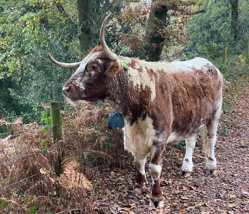 Defibrillator Installed